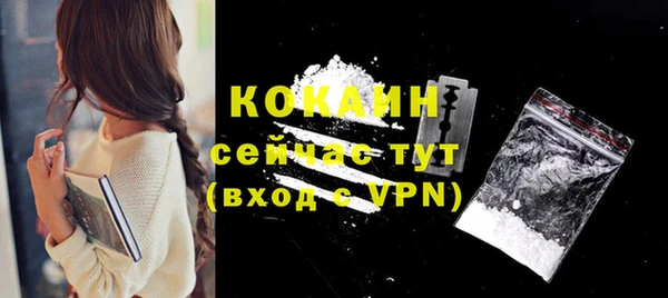 apvp Щигры
