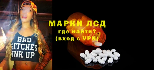 индика Щучье